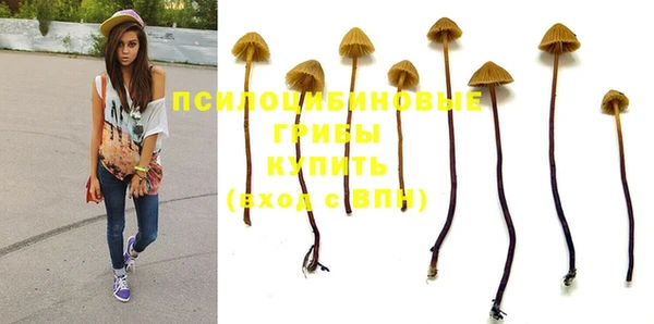 2c-b Белоозёрский