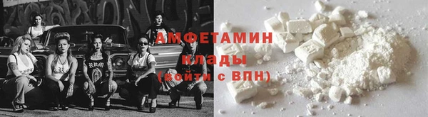 крисы Богородицк