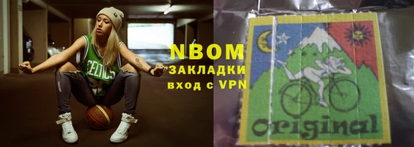 стаф Богданович