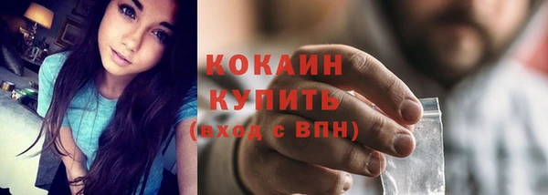 крисы Богородицк