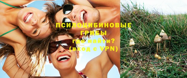 гидропоника Белокуриха