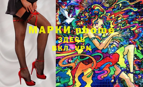 стаф Богданович