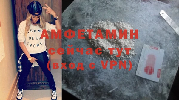 стаф Богданович