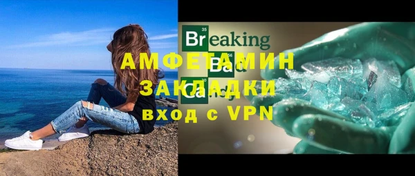 стаф Богданович